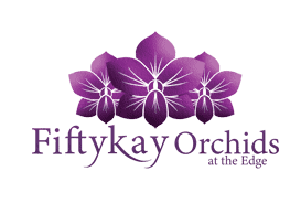 Fiftykay Orchids Logo